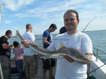 10 lb Starry Smooth-hound by Unknown