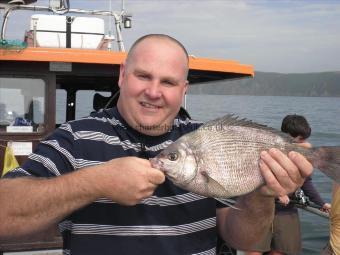 2 lb 8 oz Black Sea Bream by Unknown