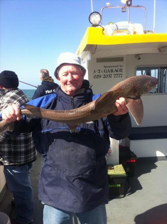 12 lb Starry Smooth-hound by Unknown