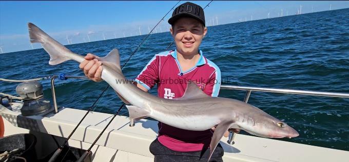 13 lb 2 oz Smooth-hound (Common) by Jr