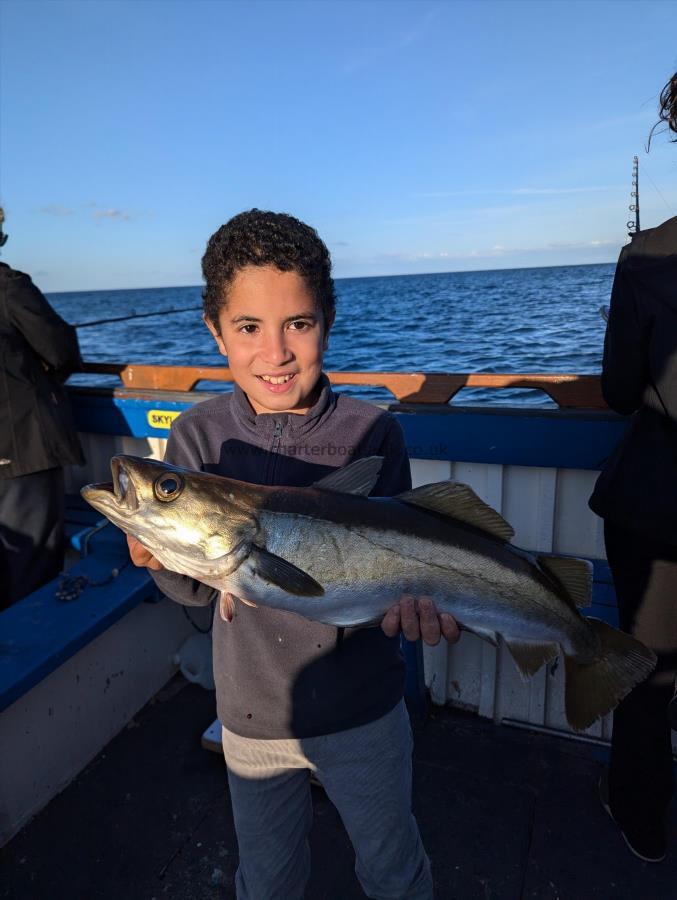 4 lb 10 oz Pollock by Unknown