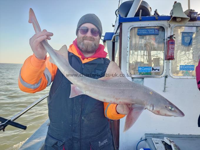 6 lb Starry Smooth-hound by Lee