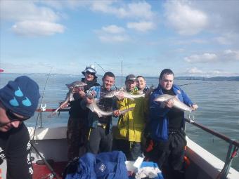 13 lb Smooth-hound (Common) by daniel grant