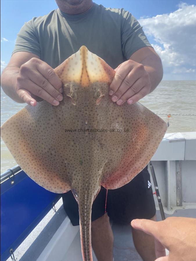 6 lb 8 oz Blonde Ray by Unknown