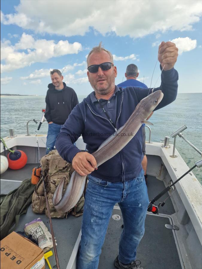 5 lb Conger Eel by David