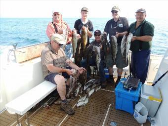 6 lb Cod by Colin's combines