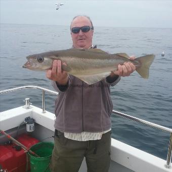 8 lb Pollock by john