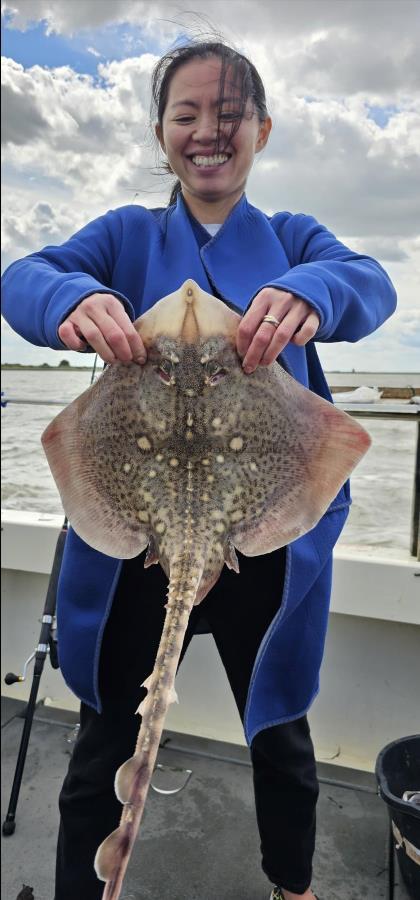 6 lb 12 oz Thornback Ray by Lin