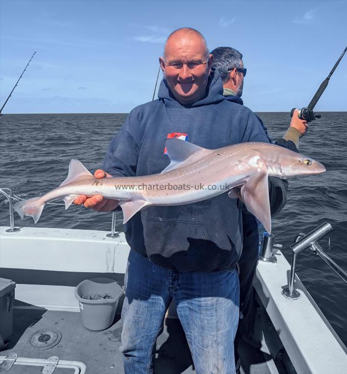 6 lb Smooth-hound by Skipper