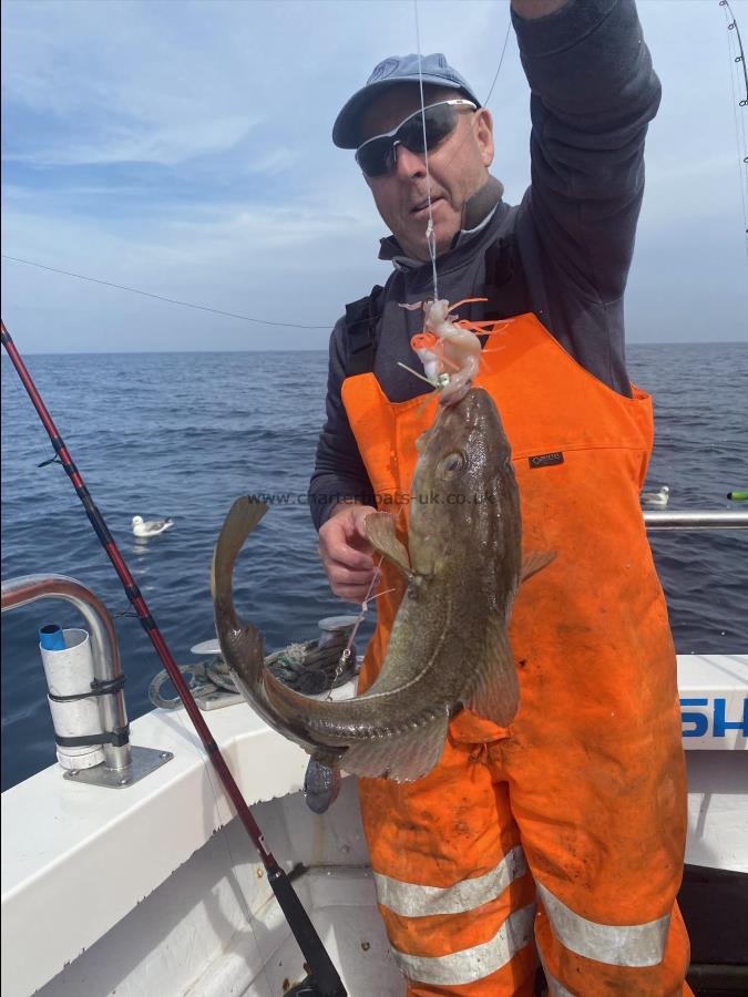 6 lb 4 oz Cod by Dave Sharp.