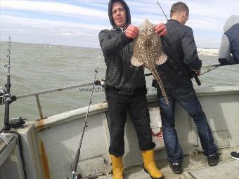 5 lb Thornback Ray by Unknown