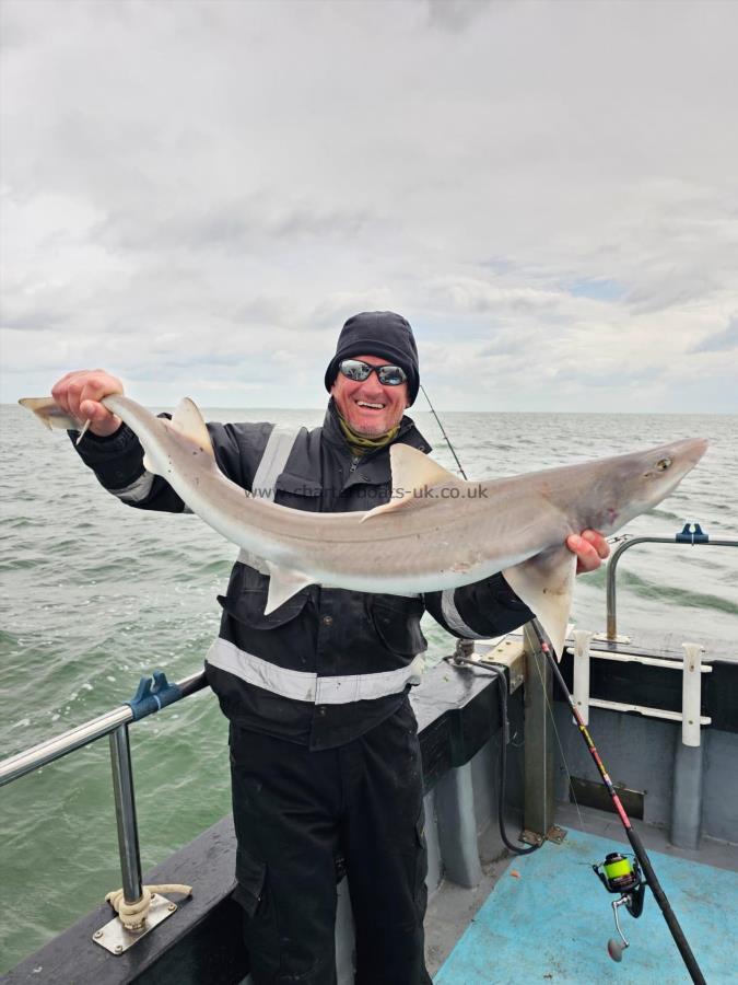 12 lb Smooth-hound (Common) by Lee