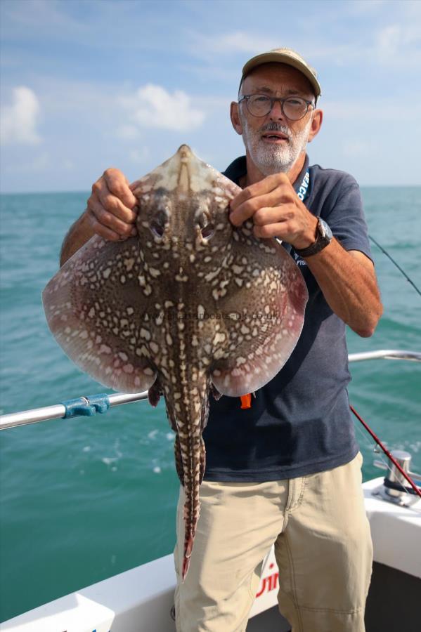 9 lb Thornback Ray by Unknown