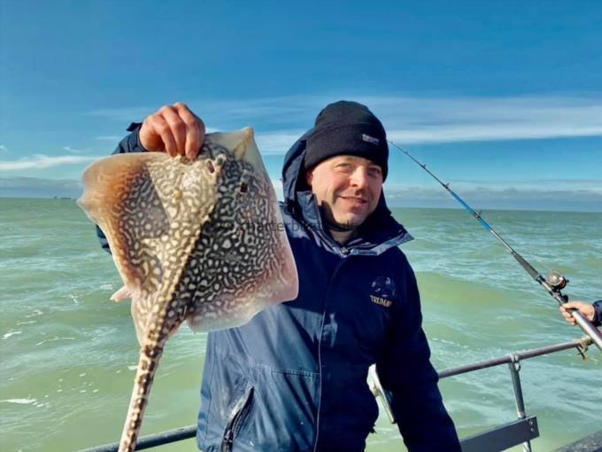 5 lb Thornback Ray by Unknown