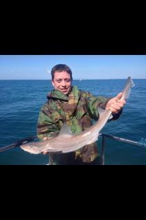 4 lb Smooth-hound (Common) by Chris Barlow