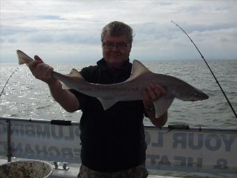 9 lb Starry Smooth-hound by Unknown