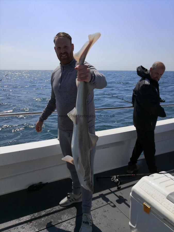 12 lb Smooth-hound (Common) by Dale