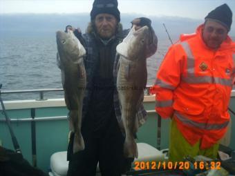 10 lb Cod by unknown