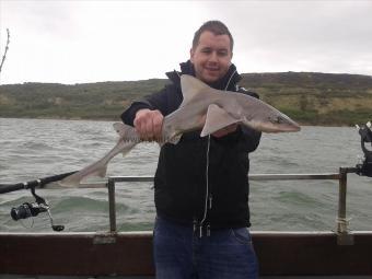 7 lb Smooth-hound (Common) by Unknown