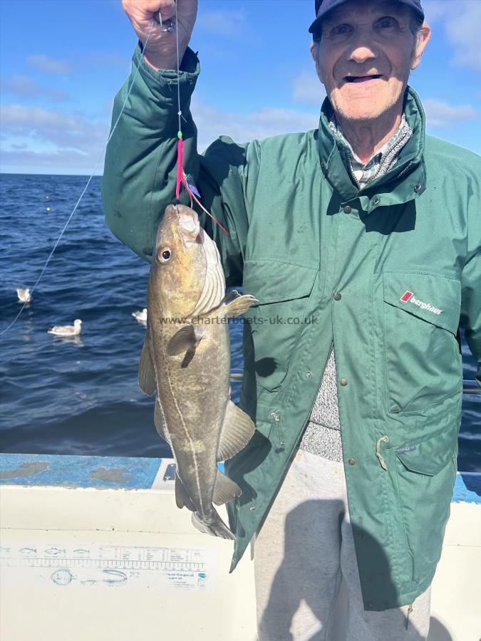 3 lb 10 oz Cod by Nick.