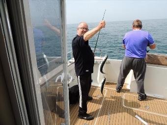 1 lb Mackerel by Lawrence