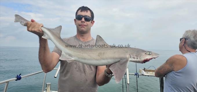 8 lb 12 oz Starry Smooth-hound by Mike