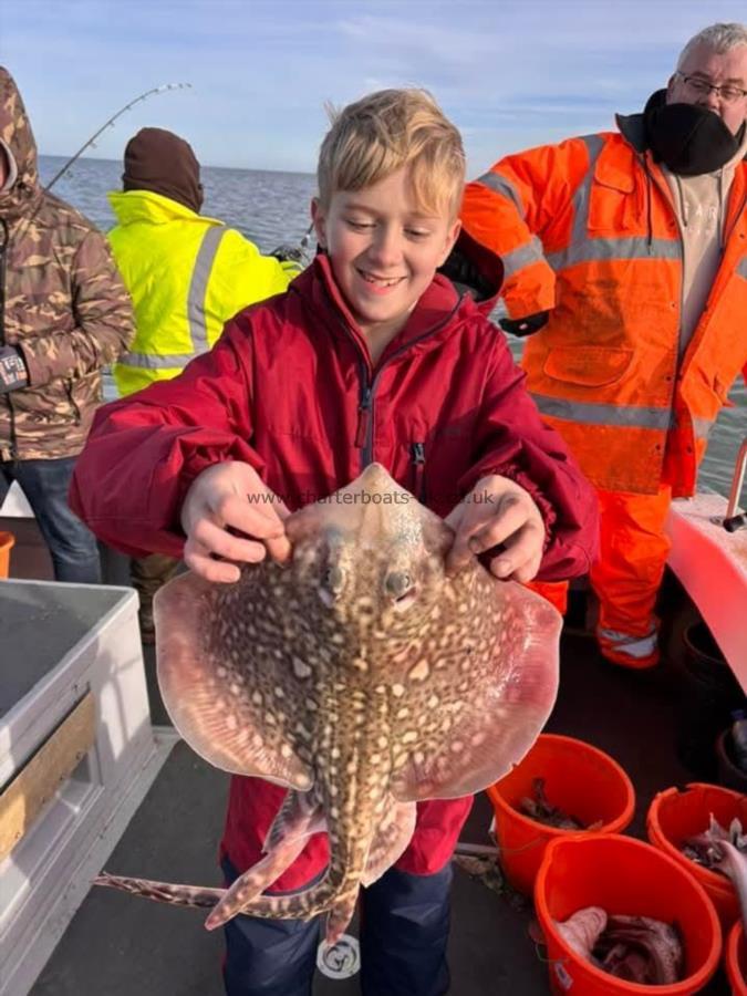 2 lb Thornback Ray by Harry