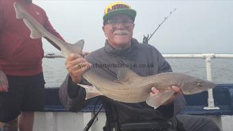 7 lb Starry Smooth-hound by Mr Jamaica