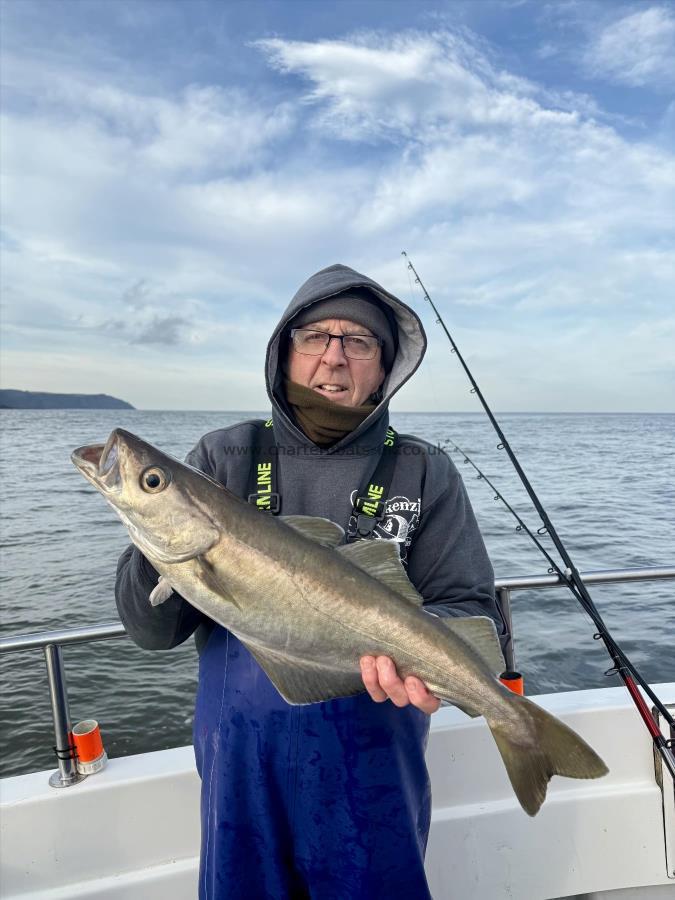 5 lb 12 oz Pollock by Dave Sharp