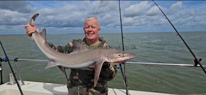 14 lb 8 oz Smooth-hound (Common) by Steve