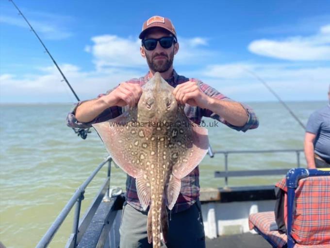 6 lb Thornback Ray by Unknown