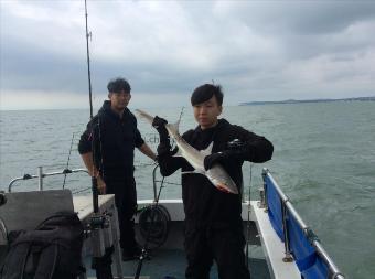 8 lb 8 oz Starry Smooth-hound by Yong