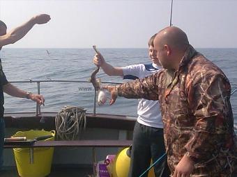 2 lb Lesser Spotted Dogfish by HAPPY YOUNG MAN !!!