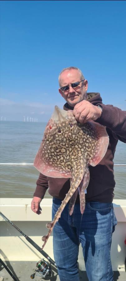 5 lb Thornback Ray by Steve