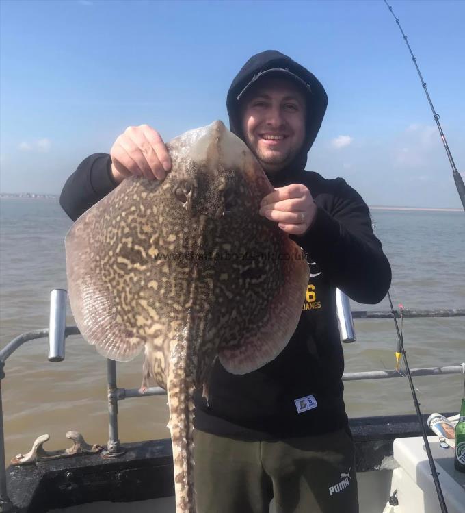 7 lb Thornback Ray by Unknown