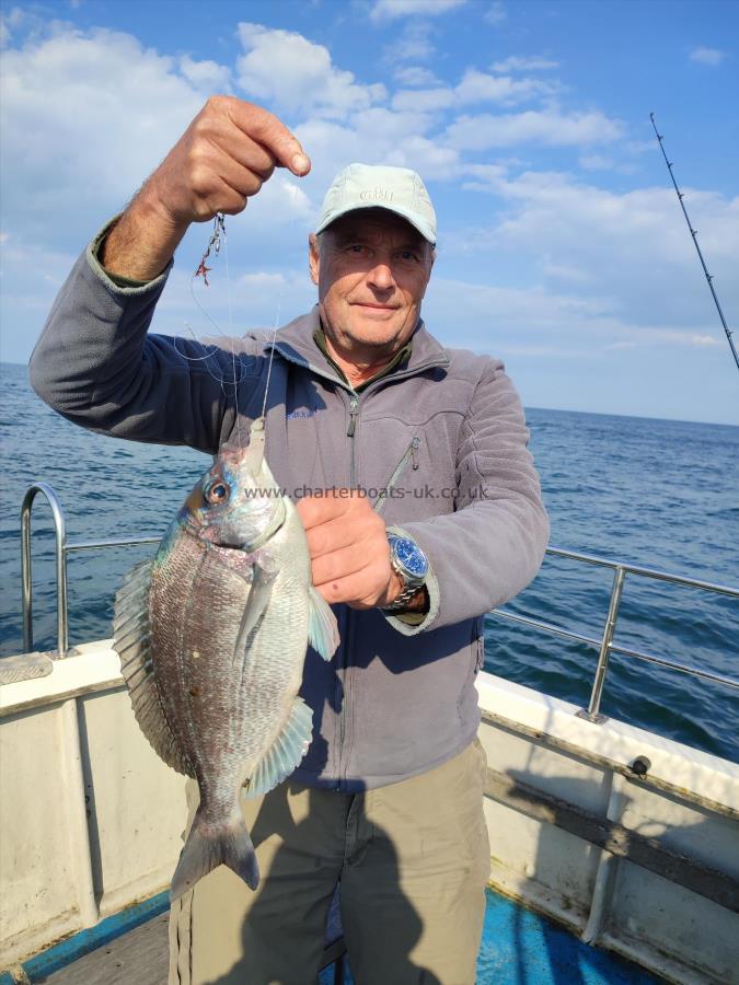 2 lb 4 oz Black Sea Bream by Peter