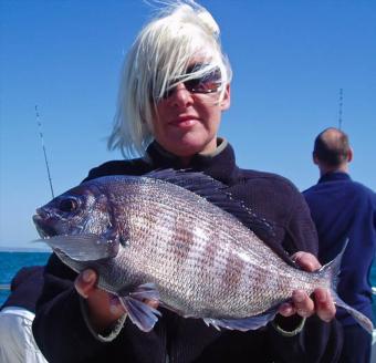 3 lb Black Sea Bream by Unknown