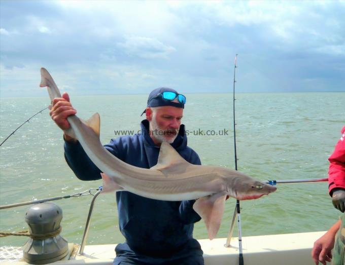 12 lb Smooth-hound (Common) by Phil