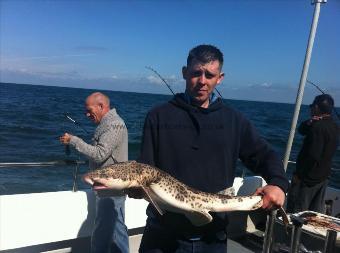 12 lb Bull Huss by darren fry