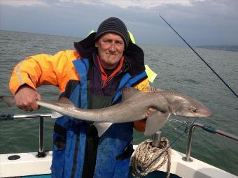 9 lb Starry Smooth-hound by Peter Parkinson