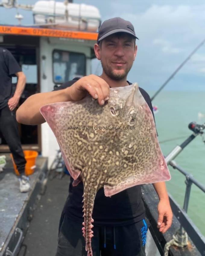 6 lb Thornback Ray by Unknown