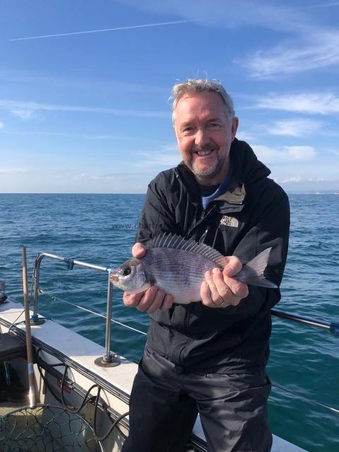 1 Kg Black Sea Bream by Unknown