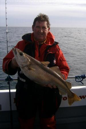 11 lb 6 oz Pollock by Brian