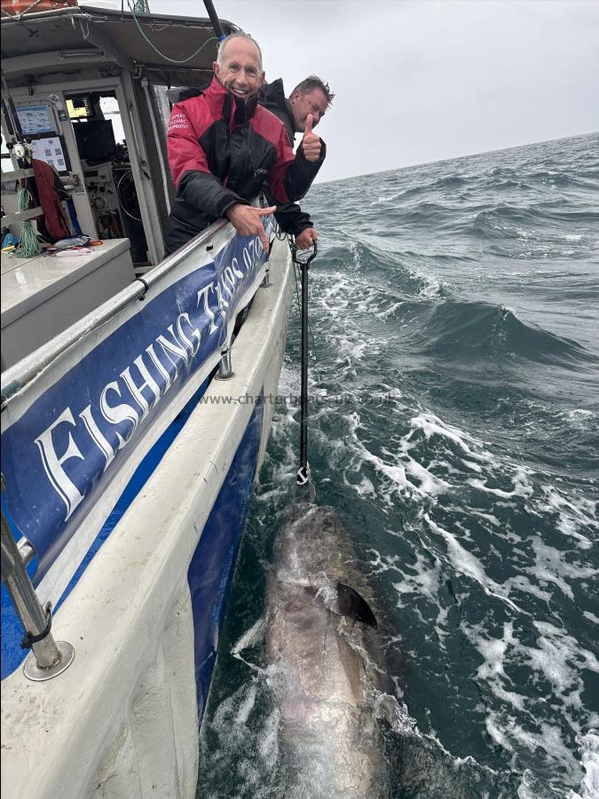 1 lb Bluefin Tuna by Unknown