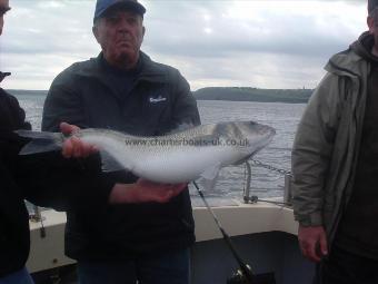 14 lb Bass by John Hamer