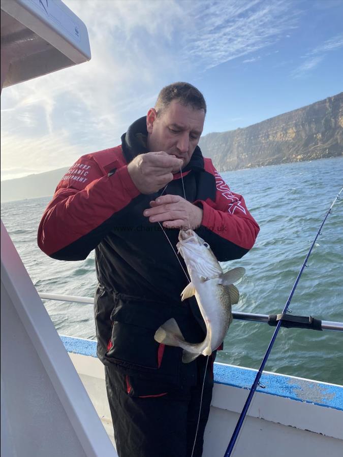 3 lb 7 oz Cod by Andy.