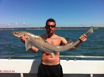 15 lb 5 oz Starry Smooth-hound by skipper