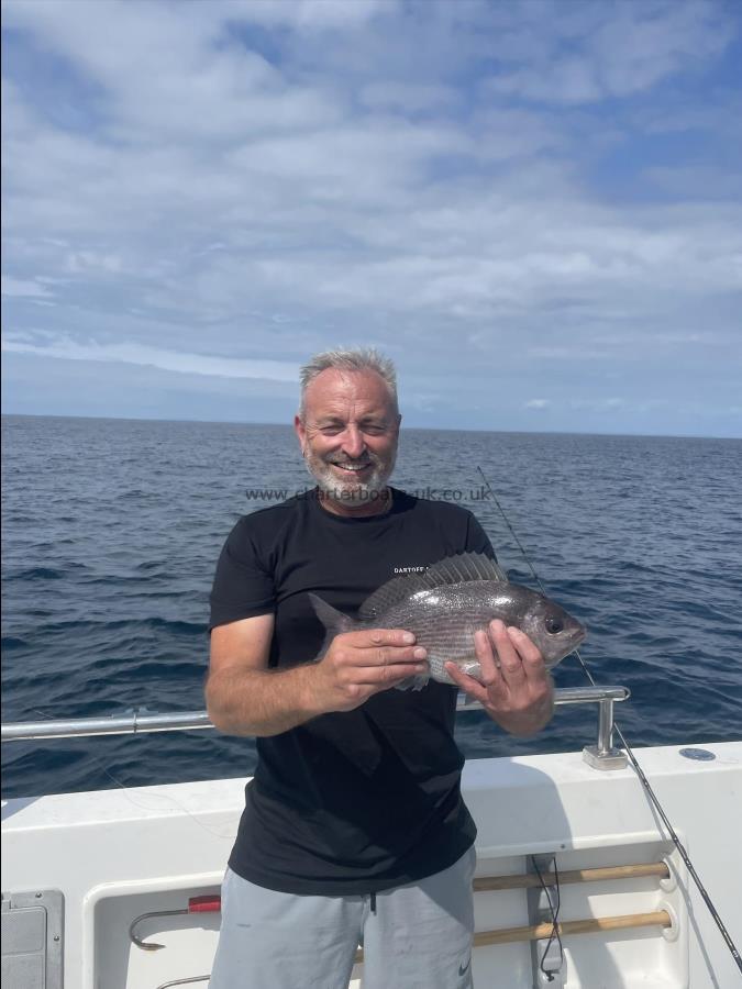 2 lb 10 oz Black Sea Bream by Unknown