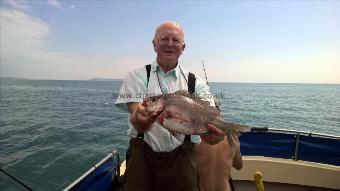 2 lb 8 oz Black Sea Bream by Stephen Wake