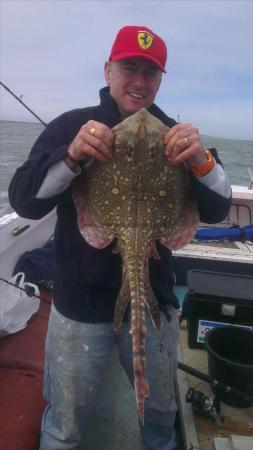 7 lb Thornback Ray by darren